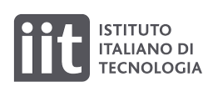 iit